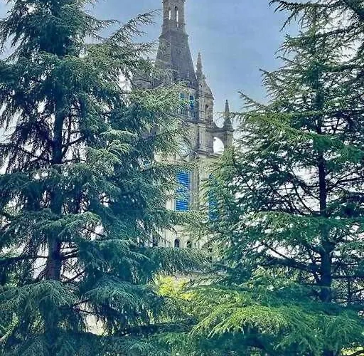 Daire Amatxo Maitia - Amplio Piso, De Premio 